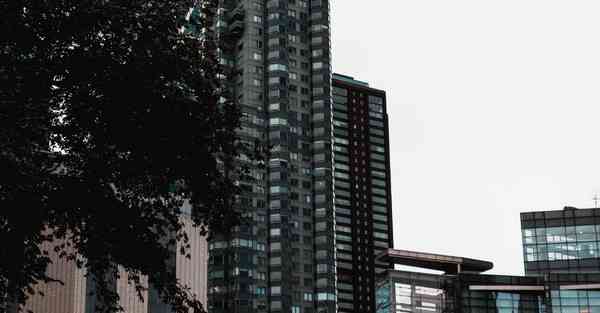 人工智能机器人和人谈恋爱