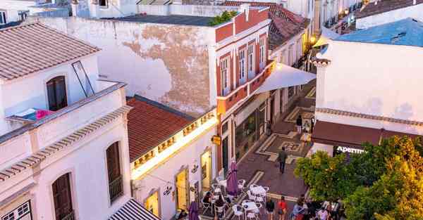 外国语单招大数据的行业文章