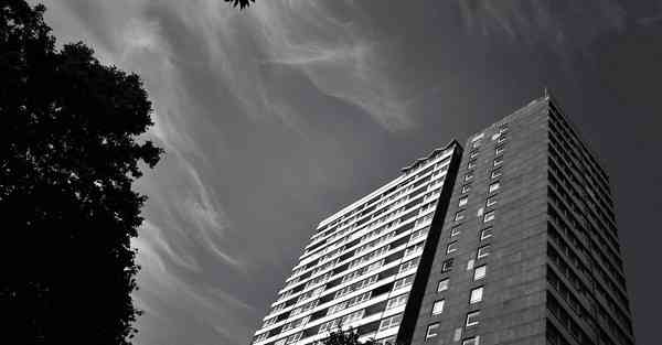 外国语单招大数据的行业文章