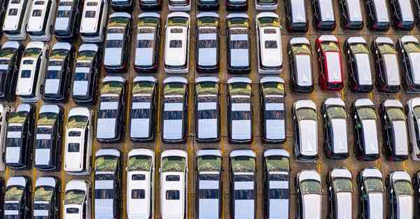 大数据助力茶叶