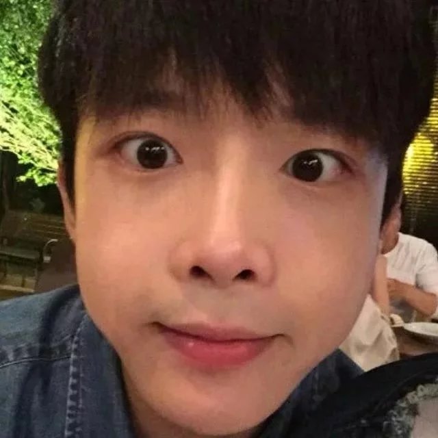 惠安贞叶