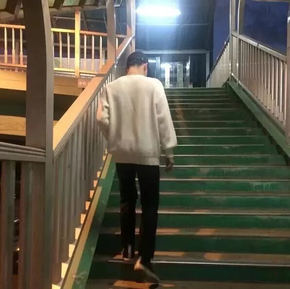 费策叶冠