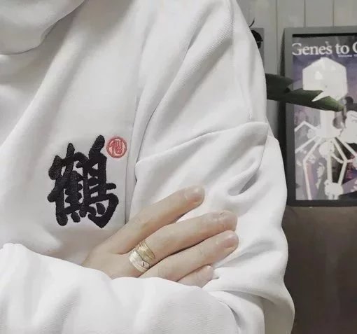 庄琼菲灵