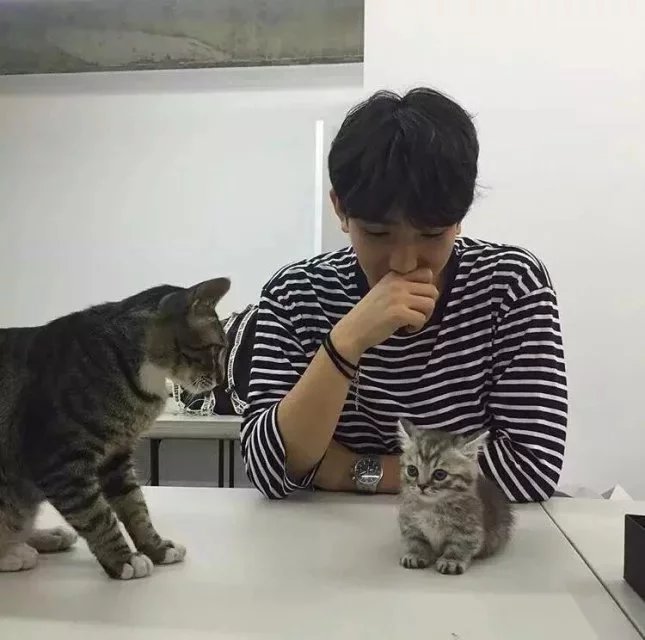 广绍策先