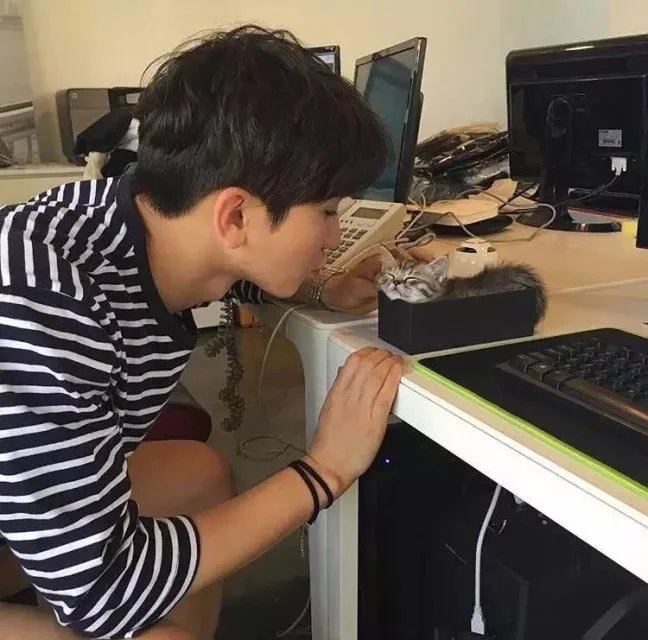 毕芸贤纨
